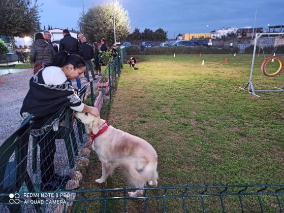 Inaugurata ad Arnesano la nuova "Area di idroterapia - Piscina per cani terapeutica e riabilitativa" - Corriere Salentino