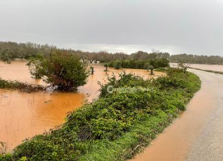Si sono abbattuti 56 tornado, nubifragi, tempeste e grandini sulla Puglia, l’agricoltura è in ginocchio