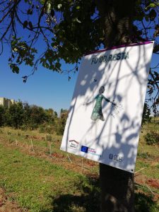 Lecce, sabato 20 novembre l’inaugurazione della Fo(od)resta al Parco Melissa Bassi - Corriere Salentino