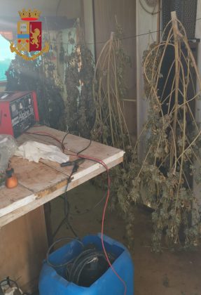 Trasforma una roulotte in disuso in una serra per la marijuana: finisce nei guai un 36enne - Corriere Salentino