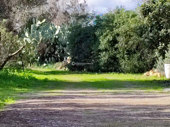 Casarano, il cadavere corificato è di una donna straniera dimessa dall’ospedale mesi fa: si indaga per omicidio colposo - Corriere Salentino