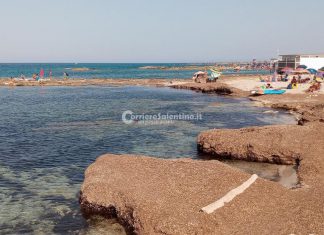 La giunta regionale pugliese dà il via libera alla gestione delle biomasse vegetali spiaggiate tagliando sulla burocrazia e incentivando la funzione ecologica