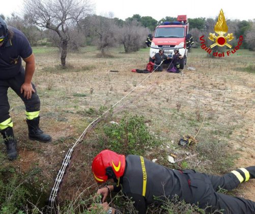 Precipita in un pozzo di 9 metri durante la battuta di caccia, salvato dai vigili del fuoco - Corriere Salentino