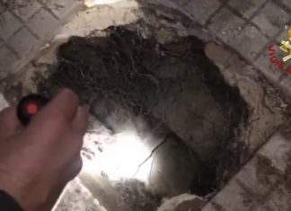 Cede il marciapiede e si apre una voragine profonda 3,5 metri: intervento dei vigili nel centro di Lecce