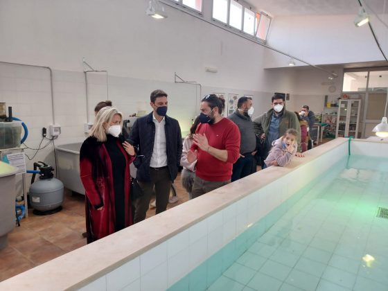 Inaugurate le nuove due sale del Centro Recupero Tartarughe Marine del Museo di Storia naturale del Salento - Corriere Salentino