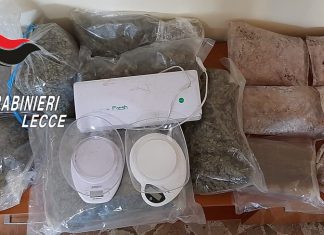 In casa nascondevano oltre 16 chili di droga tra cocaina e marijuana, in carcere due giovani incensurati