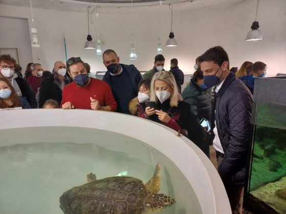 Inaugurate le nuove due sale del Centro Recupero Tartarughe Marine del Museo di Storia naturale del Salento - Corriere Salentino