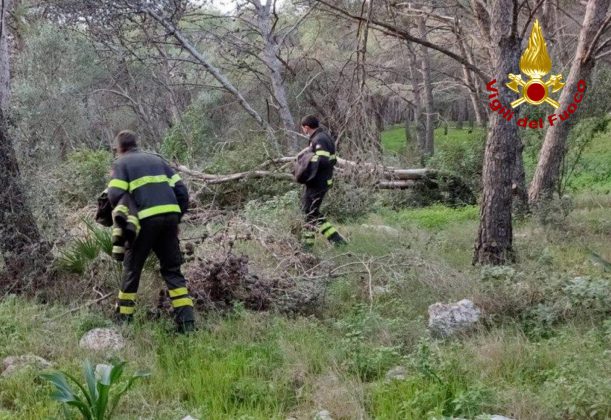 Di lui nessuna traccia, ore d’ansia a Santa Caterina: in corso le ricerche di una persona scomparsa - Corriere Salentino