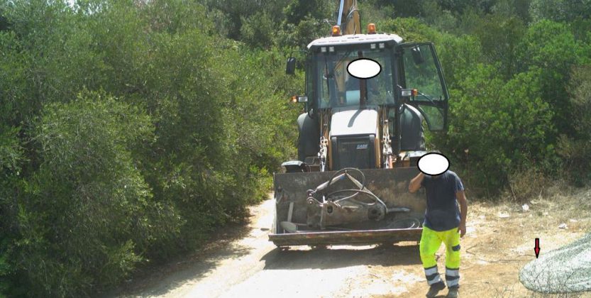 Abbandonano inerti e cemento nel parco naturale di Ugento, ma le fototrappole li immortalano. Denunciati privato e azienda - Corriere Salentino