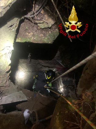 Gattino cade in un pozzo profondo: salvato dai vigili del fuoco - Corriere Salentino