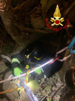 Gattino cade in un pozzo profondo: salvato dai vigili del fuoco - Corriere Salentino