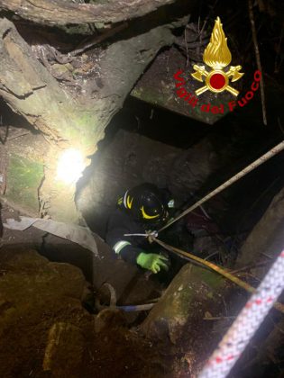 Gattino cade in un pozzo profondo: salvato dai vigili del fuoco - Corriere Salentino