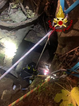 Gattino cade in un pozzo profondo: salvato dai vigili del fuoco - Corriere Salentino