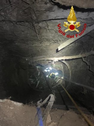 Gattino cade in un pozzo profondo: salvato dai vigili del fuoco - Corriere Salentino