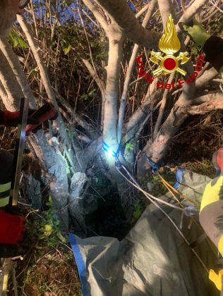 Gattino cade in un pozzo profondo: salvato dai vigili del fuoco - Corriere Salentino