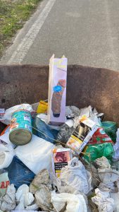 Residenti di via San Pietro in Lama stremati: continua l’abbandono dei rifiuti e non bastano le iniziative di volontariato dei privati per la raccolta - Corriere Salentino