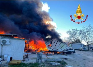 Fiamme divampano nel campo Panareo: danni ingenti, nessun ferito