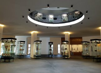 L’Università del Salento rafforza la cooperazione con le Università dei Balcani occidentali