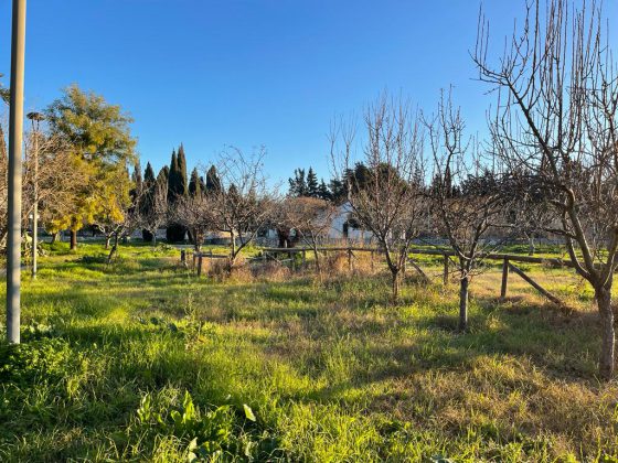 Guido: “Parco di Belloluogo abbandonato e nel degrado” - Corriere Salentino