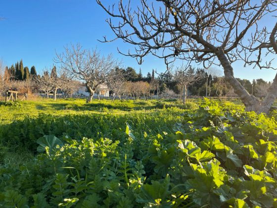 Guido: “Parco di Belloluogo abbandonato e nel degrado” - Corriere Salentino