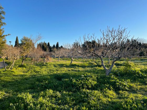 Guido: “Parco di Belloluogo abbandonato e nel degrado” - Corriere Salentino