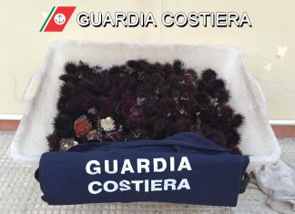 Cattura mille ricci di mare, ripreso dalle telecamere dell’area marina protetta: multato pescatore sportivo
