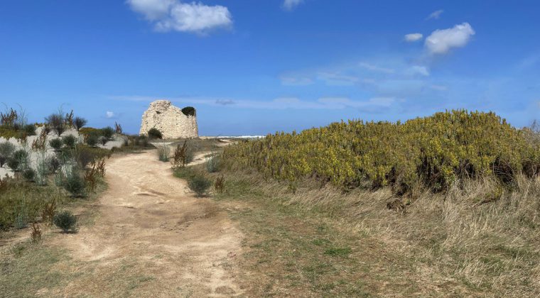 Rigenerazione delle marine, la giunta approva tre progetti per San Cataldo e Torre Chianca - Corriere Salentino