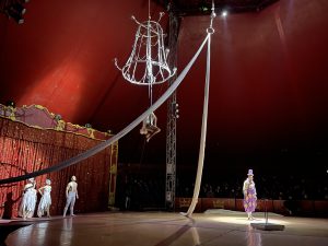 La magia del Circo Atmosphere, senza sfruttamento di animali, incanta le famiglie leccesi, prossima tappa nel brindisino - Corriere Salentino