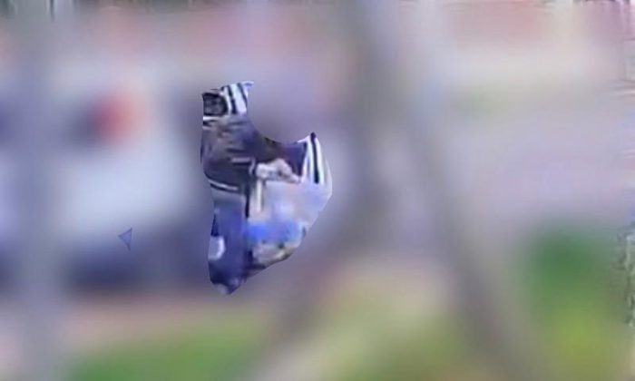 Abbandono di rifiuti e mancata differenziazione, multe per mille euro a Nardò - Corriere Salentino