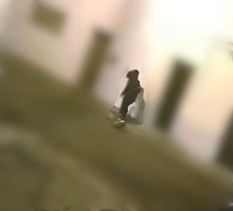 Abbandono di rifiuti e mancata differenziazione, multe per mille euro a Nardò - Corriere Salentino