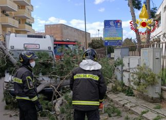 Forti raffiche di vento sferzano il Salento: alberi caduti e impalcature pericolanti. Tronco precipita su un furgone