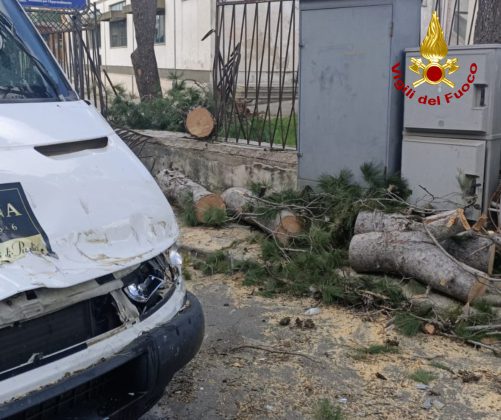 Forti raffiche di vento sferzano il Salento: alberi caduti e impalcature pericolanti. Tronco precipita su un furgone - Corriere Salentino