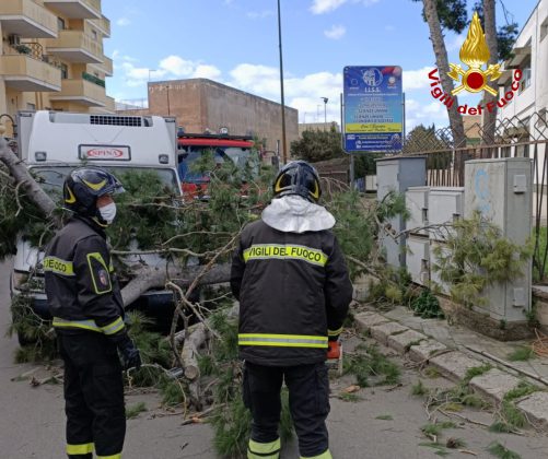 Forti raffiche di vento sferzano il Salento: alberi caduti e impalcature pericolanti. Tronco precipita su un furgone - Corriere Salentino