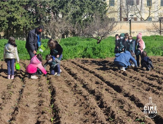 “Piccole cime di rapa” per custodire la tradizione agricola e la biodiversità - Corriere Salentino