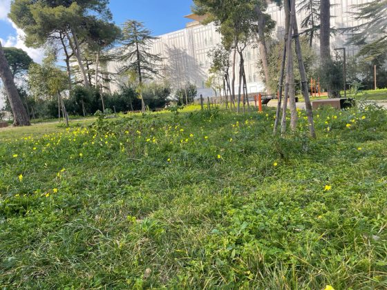 Parco ex Galateo, Guido: “Dopo le celebrazioni in pompa magna, incuria e abbandono” - Corriere Salentino