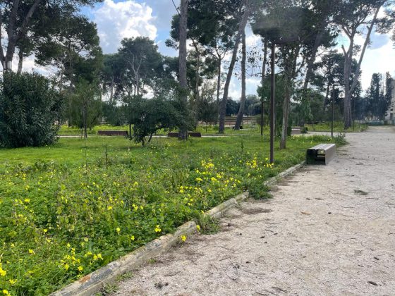 Parco ex Galateo, Guido: “Dopo le celebrazioni in pompa magna, incuria e abbandono” - Corriere Salentino