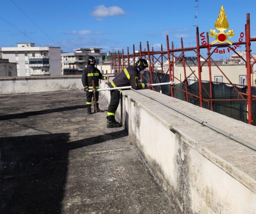 Forti raffiche di vento sferzano il Salento: alberi caduti e impalcature pericolanti. Tronco precipita su un furgone - Corriere Salentino