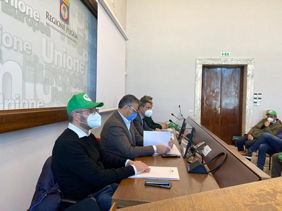 Cia Puglia: “Danni anche dalla guerra, agricoltori allo stremo, subito questi interventi” - Corriere Salentino
