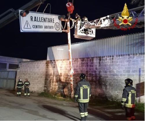 Palo della segnaletica pericolante all'ingresso del paese: intervengono i vigili del fuoco - Corriere Salentino