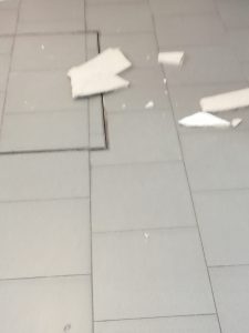 Ospedale che vai, gatto che trovi: la denuncia di sindacati e cittadini. La dirigenza medica promette interventi urgenti - Corriere Salentino