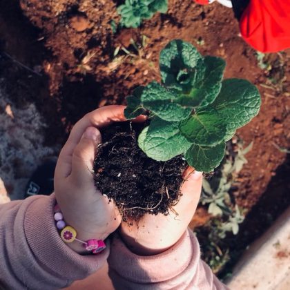 Martedì 29 appuntamento a Trepuzzi con “L’orto di B “ il progetto di educazione ambientale di BlaBlaBla rivolto ai bambini e alle bambine - Corriere Salentino