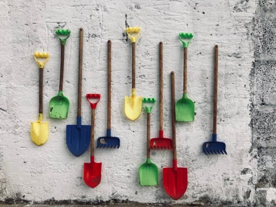 Martedì 29 appuntamento a Trepuzzi con “L’orto di B “ il progetto di educazione ambientale di BlaBlaBla rivolto ai bambini e alle bambine - Corriere Salentino