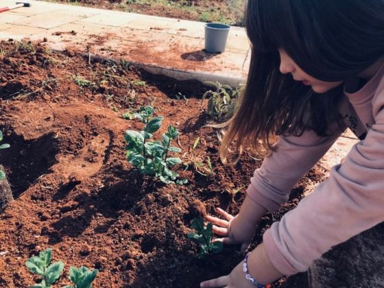Martedì 29 appuntamento a Trepuzzi con “L’orto di B “ il progetto di educazione ambientale di BlaBlaBla rivolto ai bambini e alle bambine - Corriere Salentino