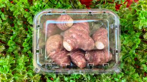 Topinambur. I benefici del tubero per diabete e colesterolo - Corriere Salentino