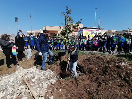 PNRR, Melpignano punta su un agriasilo: un albero al posto della prima pietra - Corriere Salentino