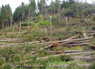 PrenderSI cura dell’Ambiente – la rinascita da Nord a Sud dopo le calamità naturali, martedì 22 marzo