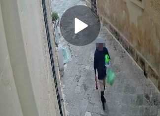 Fermato il responsabile dell’uccisione del gatto nel centro storico