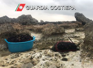 Pesca di ricci nell’area marina protetta, scattano sequestro e multa di 2000 euro