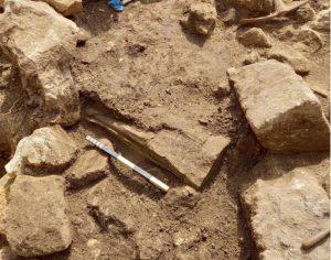 Castro, nuova sensazionale scoperta: la terra restituisce parte del busto della statua di Atena - Corriere Salentino