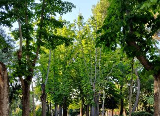 Villa comunale, avviso per la concessione dell’immobile